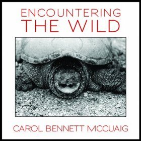 Encountering the Wild