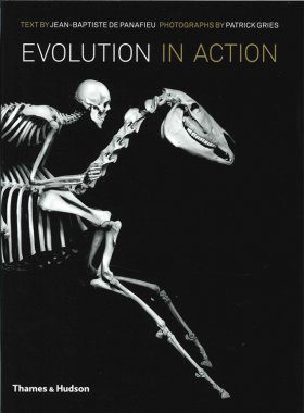 Evolution in Action