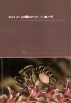 Bees as Pollinators in Brazil