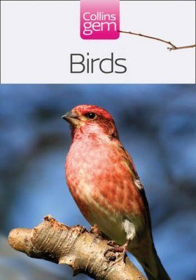 Collins Gem Guide: Birds