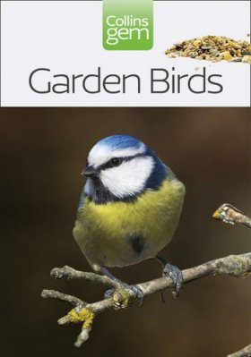Collins Gem Guide: Garden Birds