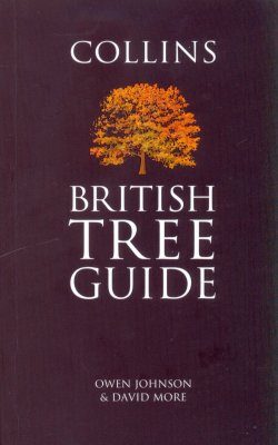 Collins British Tree Guide