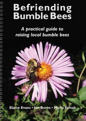 Befriending Bumble Bees