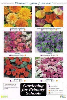 Gardening for Primary Schools