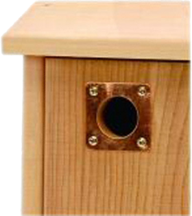 Nest Box Protection Plate