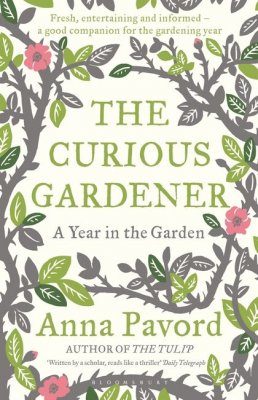 The Curious Gardener