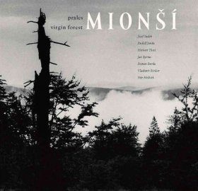 Prales Virgin Forest Mionsi