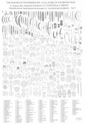 The Desmids of the Freshwater Algal Flora of the British Isles (2-Poster Set)