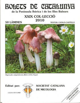 Bolets de Catalunya, Volume 29