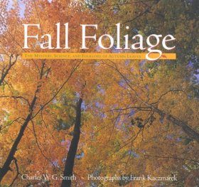 Fall Foliage