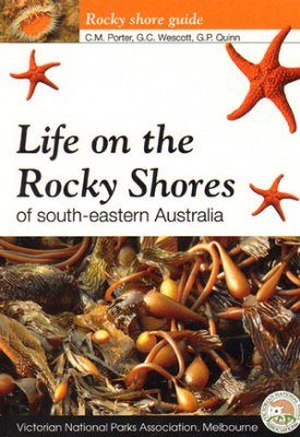 Life On the Rocky Shores of South-eastern Australia