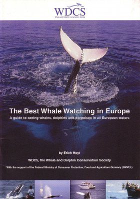 The Best Whale Watching in Europe