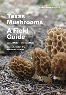 Texas Mushrooms