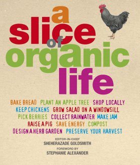 A Slice of Organic Life