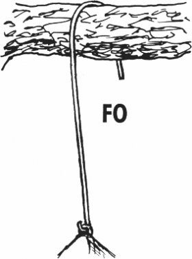 Schwegler Replacement Hanger (FO) for 2M Nest Boxes