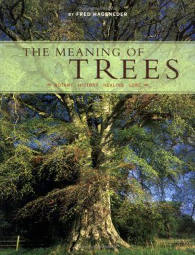 The Meaning of Trees
