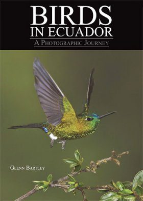 Birds in Ecuador