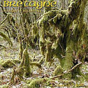Pictures of Bryophytes: Bretagne