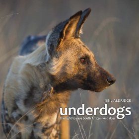 Underdogs: The Fight to Save South Africa's Wild Dogs
