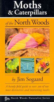 Moths and Caterpillars of the North Woods