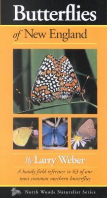 Butterflies of New England