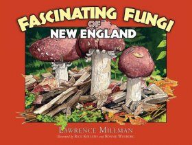 Fascinating Fungi of New England