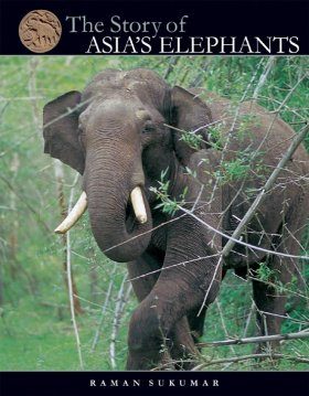 The Story of Asia's Elephants