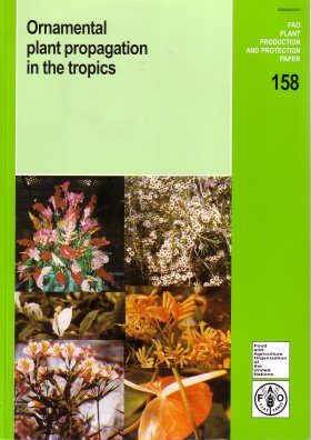 Ornamental Plant Propagation in the Tropics