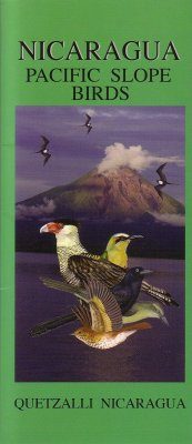 Nicaragua: Pacific Slope Birds