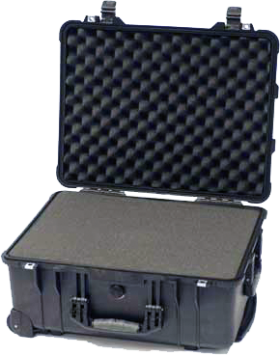 Peli Large Hard Case (1560)