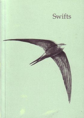 Swifts