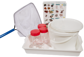 Class Rock Pooling Kit