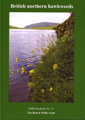 British Northern Hawkweeds