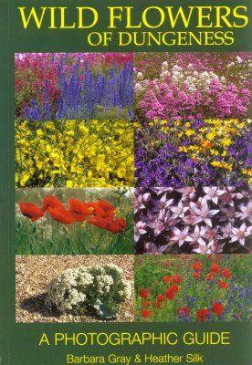 Wild Flowers of Dungeness