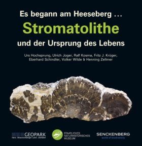 Stromatolithe und der Ursprung des Lebens