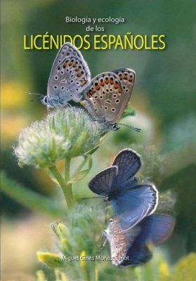 Biología y Ecología de los Licénidos Españoles
