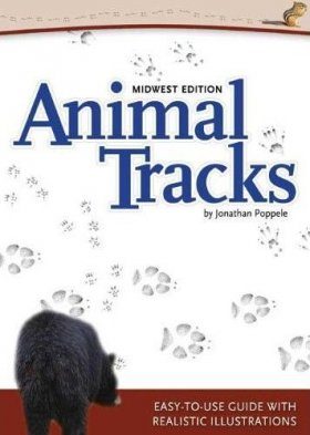 Animal Tracks