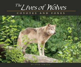 The Lives of Wolves, Coyotes and Foxes