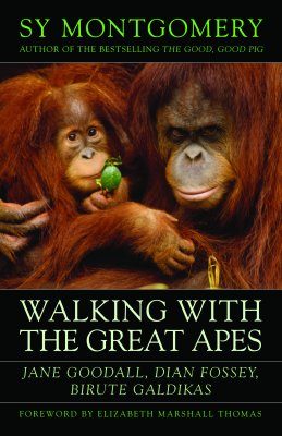 Walking with the Great Apes