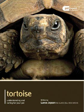 Tortoise: Understanding and Caring for Your Pet