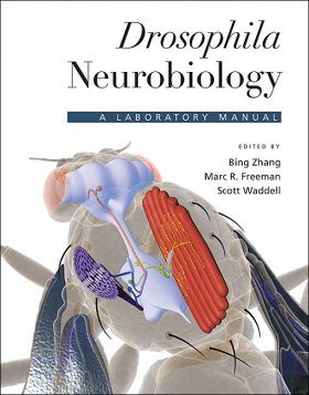 Drosophila Neurobiology