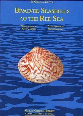 Bivalved Seashells of the Red Sea
