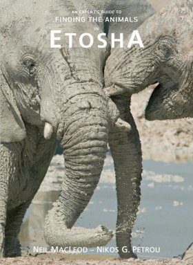 An Expert's Guide to Finding the Animals Etosha