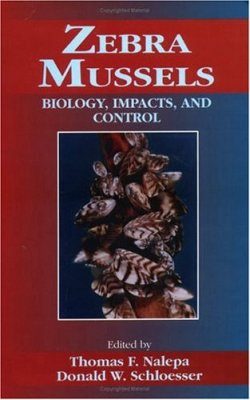 Zebra Mussels