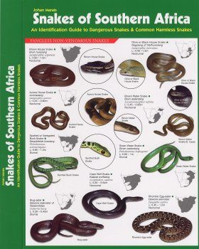 Snakes of Southern Africa