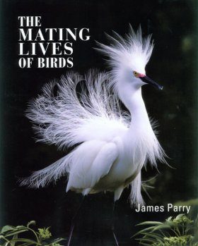 The Mating Lives of Birds