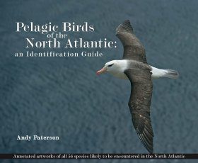 Pelagic Birds of the North Atlantic: An Identification Guide