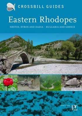 Crossbill Guide: Eastern Rhodopes - Nestos, Evros and Dadia - Bulgaria and Greece