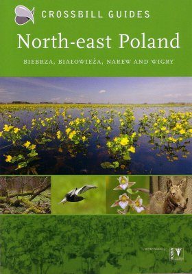 Crossbill Guide: North-East Poland: Biebrza, Białowieża, Narew, and Wigry