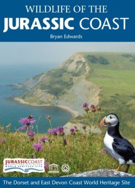 Wildlife of the Jurassic Coast